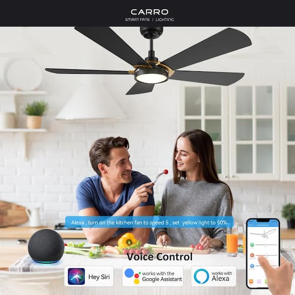 Wilkes 56 in. Dimmable LED Indoor/Outdoor Black Smart Ceiling Fan with Light and Remote, Works with Alexa/Google Home