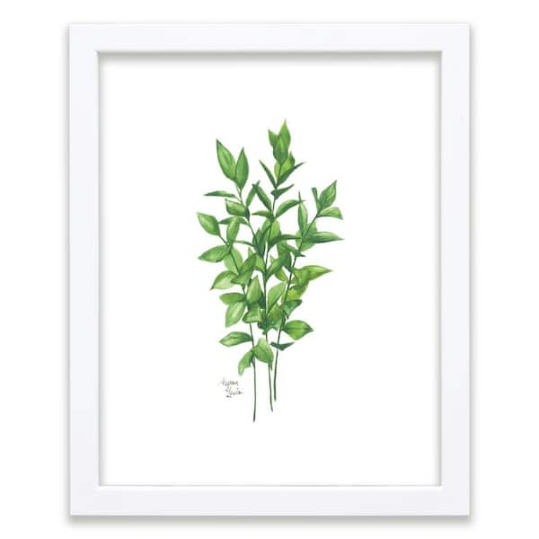 Unbranded Nature's Lace 1 "Israeli Ruscus" by Alyssa Lewis Individual White Framed Nature Art Print 20 in. x 16 in.