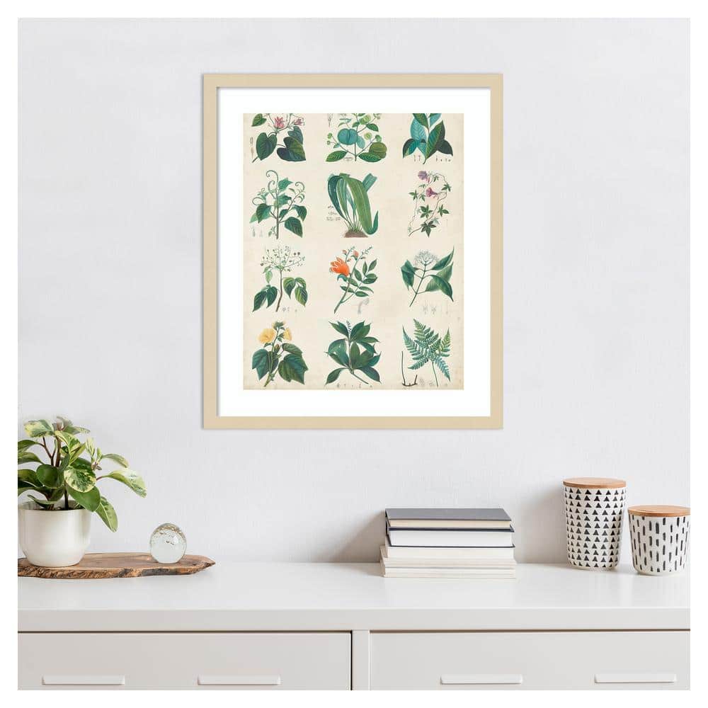 Botanical Schema II Natural Wood Framed Wall Art Print