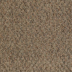 Isla Vista - Copper Earth - Orange 14 oz. SD Olefin Berber Installed Carpet