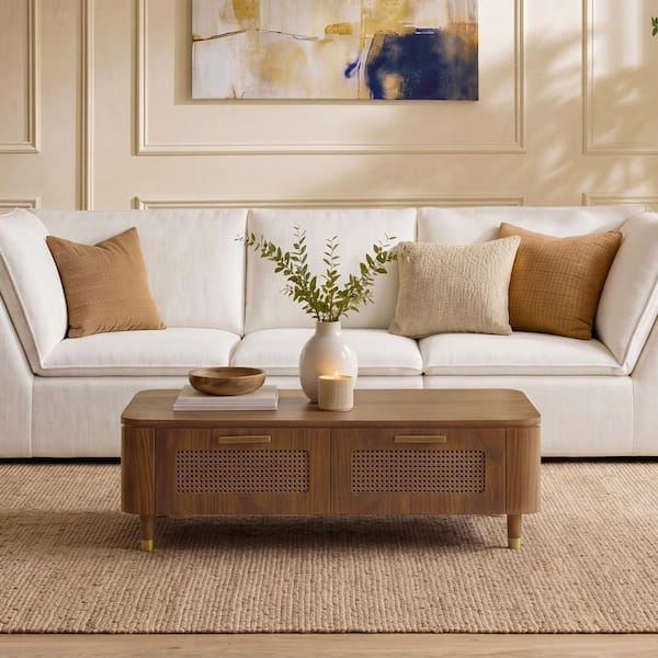 Alistair 47.24 in. Walnut Rectangle Wood Coffee Table with Features