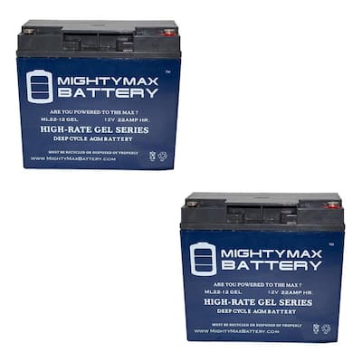 MIGHTY MAX BATTERY 12V 12AH SLA Battery Replacement for Long Way LW-6FM12  MAX3858018 - The Home Depot
