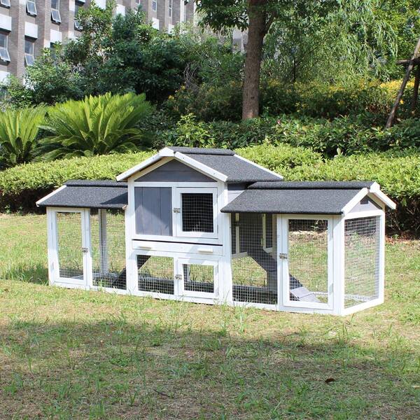 hayneedle rabbit hutch