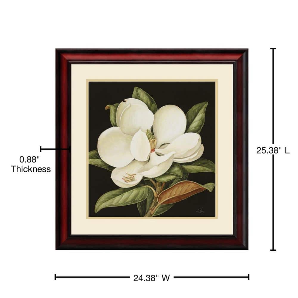Magnolia Grandiflora 2003 Framed Botanical Print with Cherry Wood Frame