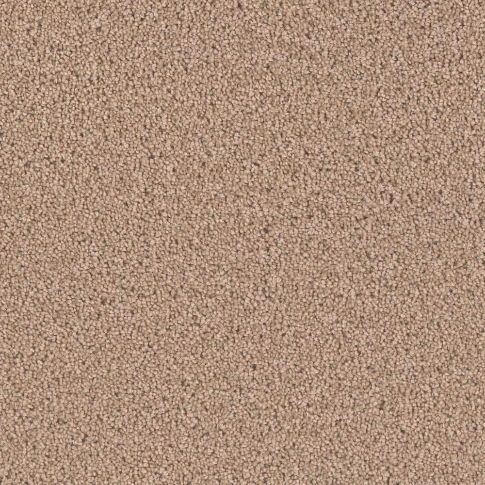 8 in. x  8 in. Texture Carpet Sample - Delicate Flower -Color Blossom price history on PriceWatchPro