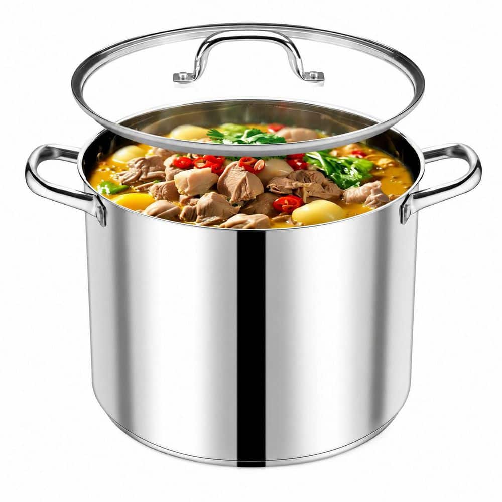 20 Quart Stainless Steel Stock Pot with Lid and Tri-Ply Bottom for Stewing, Simmering, and Canning on All Stoves price history on PriceWatchPro