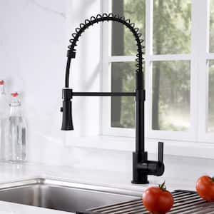 Single-Handle Pull-Down Sprayer Kitchen Faucet with 2-Function Sprayhead in Matte Black