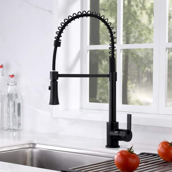 Single-Handle Pull-Down Sprayer Kitchen Faucet with 2-Function Sprayhead in Matte Black
