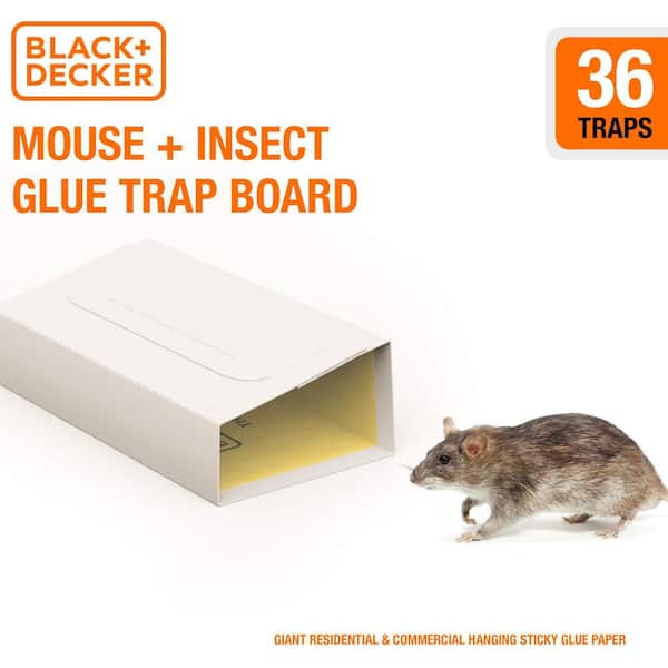 Black+decker Mouse Trap & Fly Trap- Indoor for Home- Pest Control Sticky Traps & Spider Traps for Insects (36-Pack)