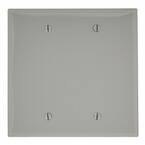 Gray 2-Gang Blank Plate Wall Plate (1-Pack)