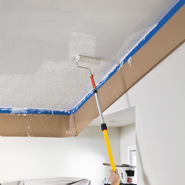 plaster ceiling color