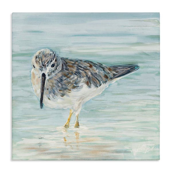 Sandpiper in Shallow Beach Waters by Julie DeRice Unframed Graphic Art Print Animal 36 in. x 36 in.