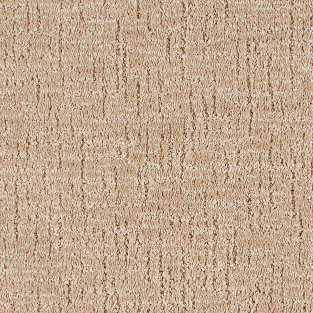 8 in. x 8 in. Pattern Carpet Sample - Truse -Color Sand Castle