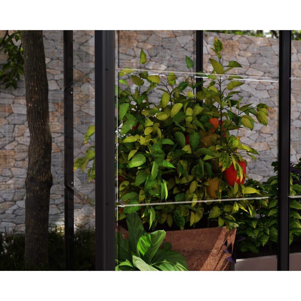 Palram Black Polycarbonate and Aluminum Mini Greenhouse