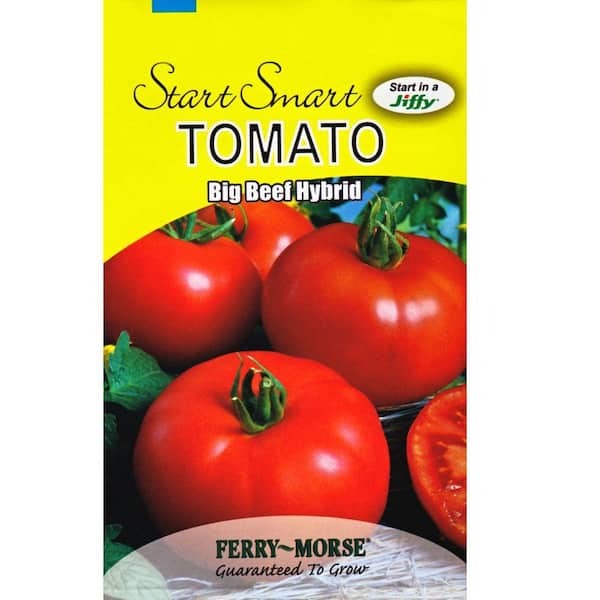 Ferry-Morse Tomato Big Beef Hybrid Seed 2059 - The Home Depot