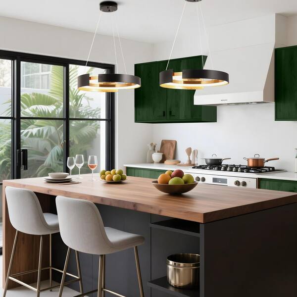 Zevni Modern Chandelier Lights, 1-Light 24W Ring Integrated