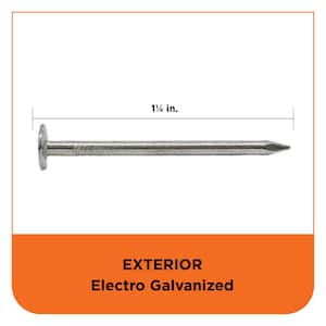 1-1/4 in. Electro-Galvanized Roofing Nail 1 lb. (209-Count)