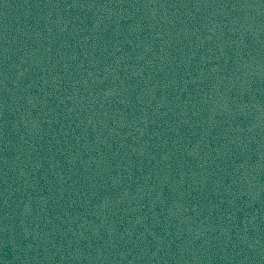Marmoleum Cinch Loc Seal Hunter Green 9.8 mm T x 11.81 in. W