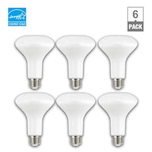 65-Watt Equivalent BR30 Dimmable ENERGY STAR LED Light Bulb Soft White (6-Pack)