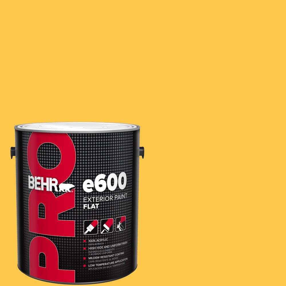 1 gal. #350B-7 Chickadee Flat Exterior Paint price history on PriceWatchPro