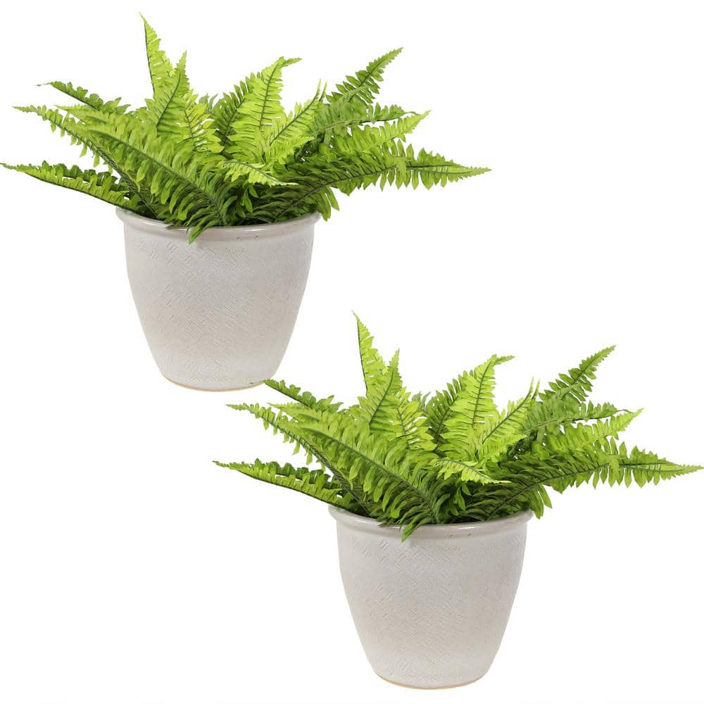 Pearl White Ocean Villa 11.75" Ceramic Indoor/Outdoor Planter Set