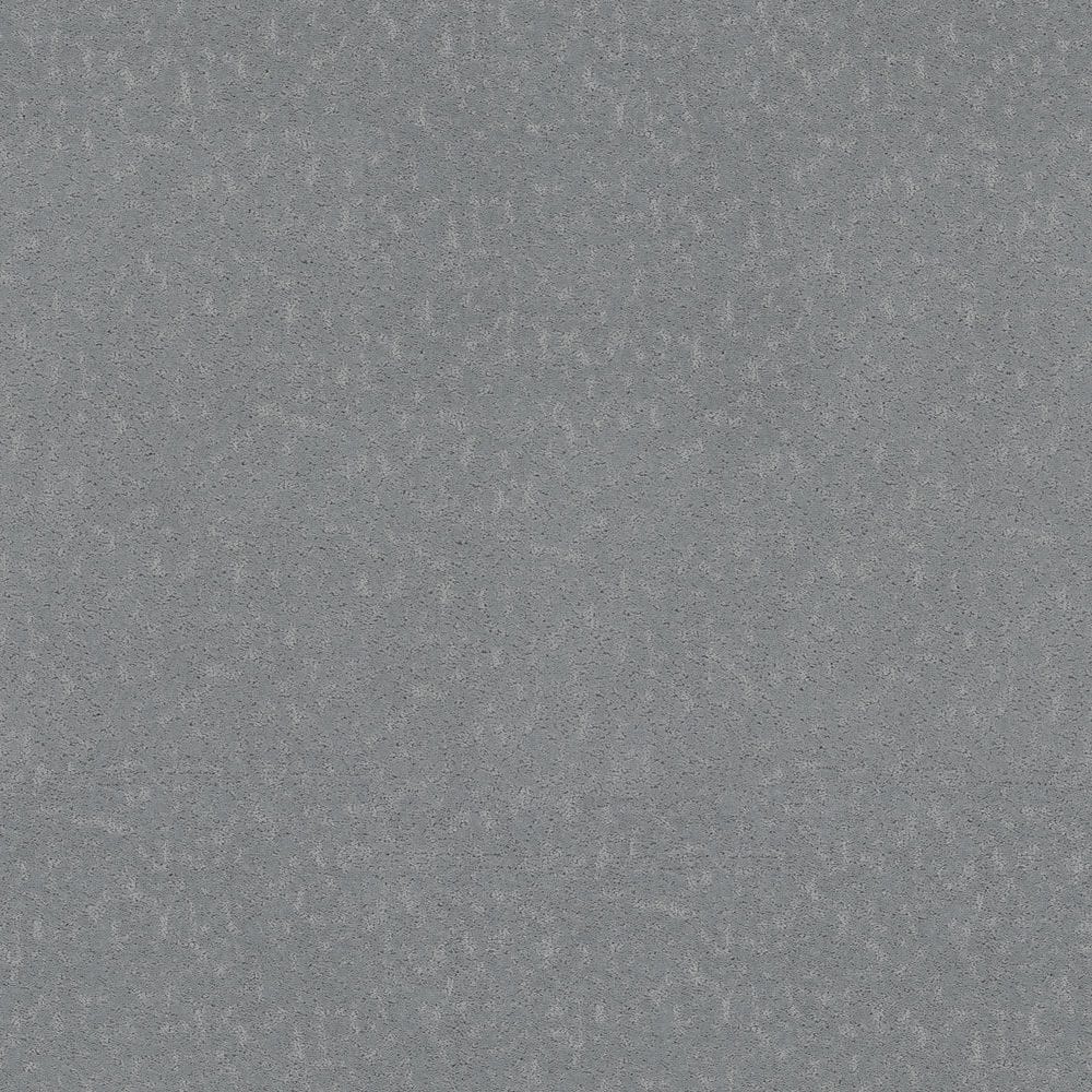 8 in. x 8 in. Pattern Carpet Sample - Pattern Plays - Color Blue Bell price history on PriceWatchPro