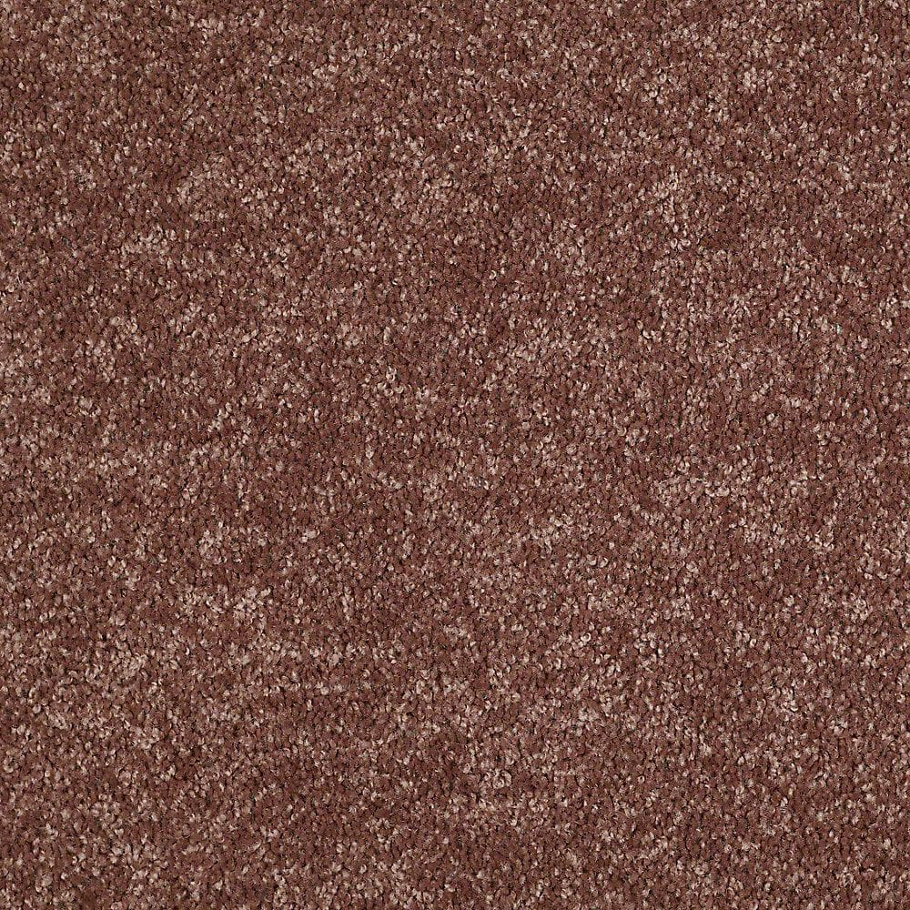 8 in. x 8 in. Texture Carpet Sample - Alpine - Color Kindness price history on PriceWatchPro