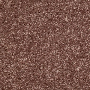 TrafficMaster 8 in. x 8 in. Texture Carpet Sample - Alpine - Color ...