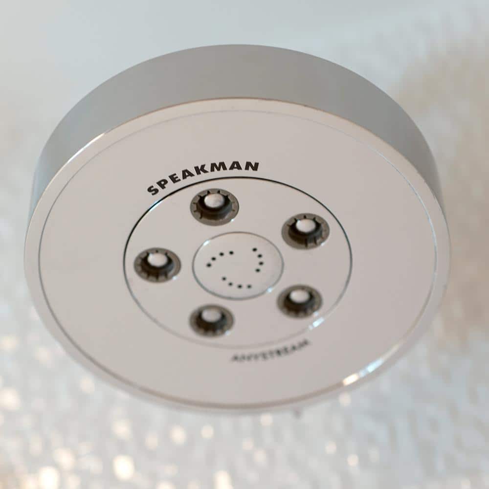 Polished Chrome Multi-Function Wall Mounted Shower Head