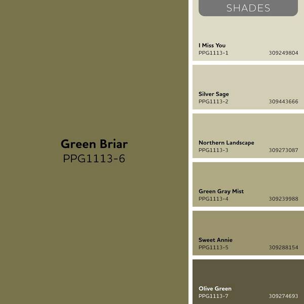 Glidden Premium 1 gal. PPG1113-6 Green Briar Satin Exterior Latex