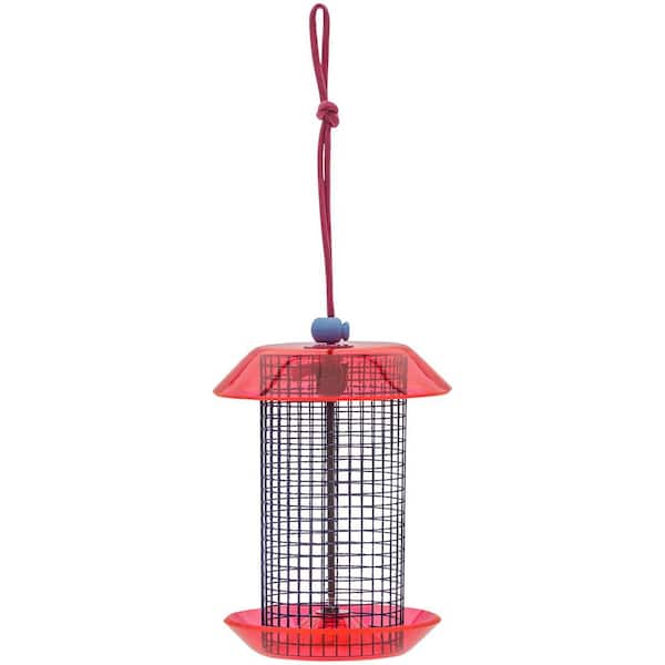 BIRDS choice Small Sunflower Seed Feeder Color Pop Collection in Blue and Fuchsia