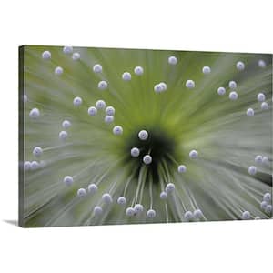 "Green And White II" by Wave Faber Canvas Wall Art