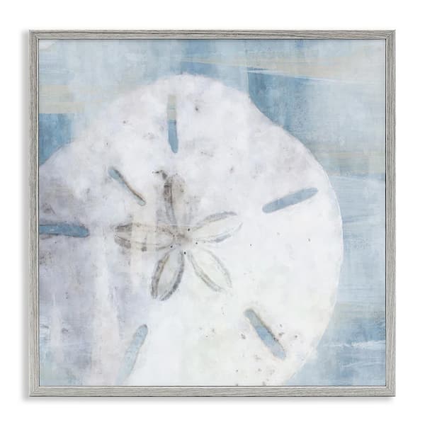 Pastel Blue Sand Dollar Seashell by Nina Blue Gray Framed Giclee Art Print Coastal 12 in. x 12 in.