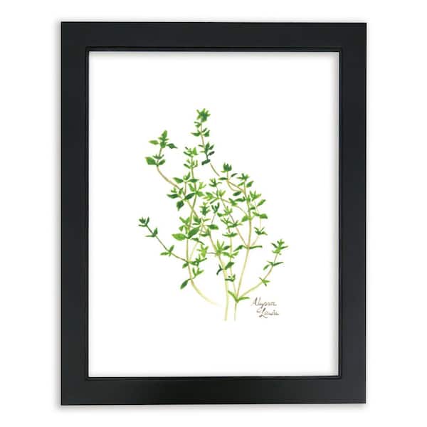 Unbranded Nature's Lace 2 "Thyme" by Alyssa Lewis Individual Black Framed Nature Art Print 20 in. x 16 in.