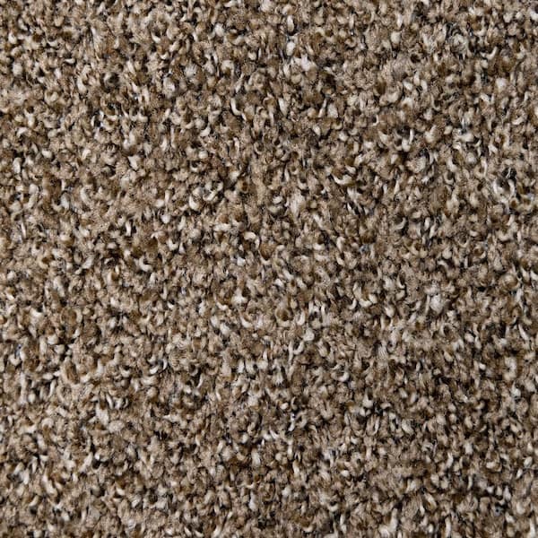 TrafficMaster Truly - Coffee - Brown 12 ft. Wide x Cut to Length 16 oz. SD Polyester Texture Carpet