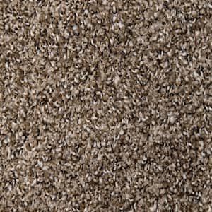 Truly - Coffee - Brown 12 ft. Wide x Cut to Length 16 oz. SD Polyester Texture Carpet