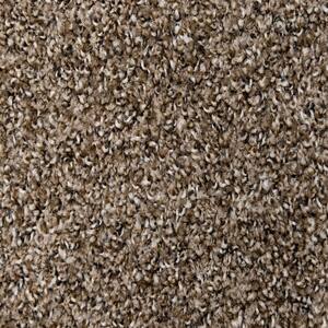 Truly - Color Coffee Texture Brown Carpet