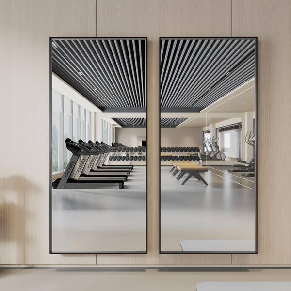 ORGANNICE 32 in. W x 72 in. H Black Aluminum Rectangle Framed