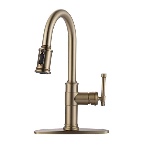 Single Handle Pull Down Sprayer Kitchen Faucet with 3-Spray Modes in Spot Free Stainless Steel Brushed Gold