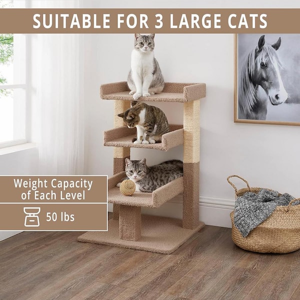 Cat scratching post 2025 for big cats