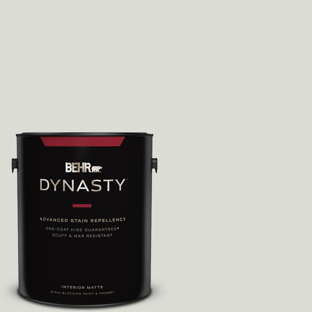 https://images.thdstatic.com/productImages/fcb8e24f-905d-43e8-9448-ff06f28f2526/svn/silver-feather-behr-dynasty-paint-colors-165001-64_1000.jpg