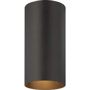 1-Light Indoor or Outdoor Black Aluminum Flush Mount Cylinder Ceiling Fixture