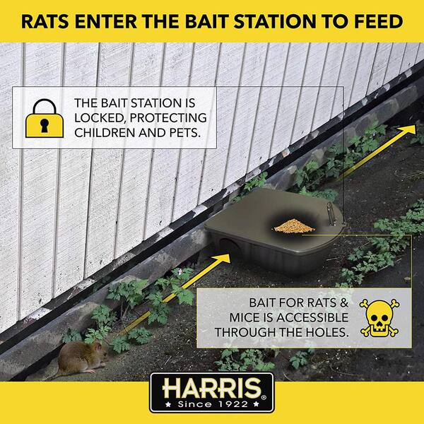 d-CON Refillable Corner Fit Mouse Bait Station, 1 Trap + 18 Bait Refills :  Patio, Lawn & Garden 