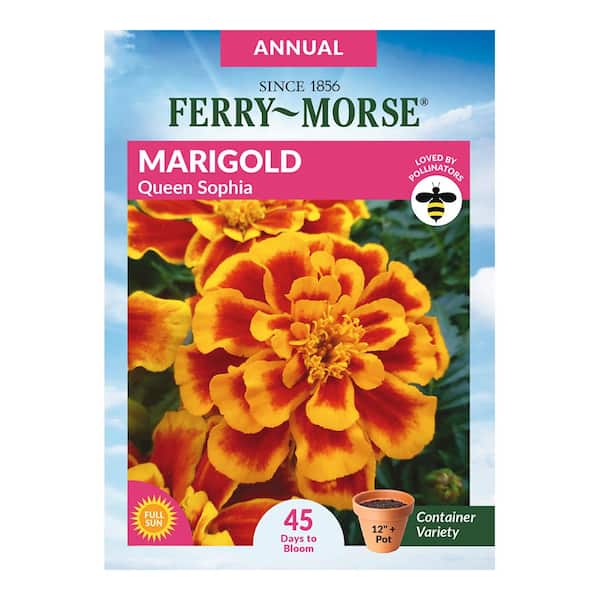 Ferry-Morse Marigold Queen Sophia Flower Seeds 6023 - The Home Depot