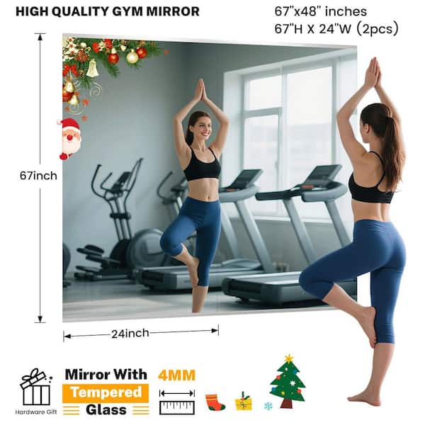 2-Pieces 24 in. W x 67 in. H Modern Rectangle Wall-Mounted Frameless Dance Mirror Garage Gym Mirror