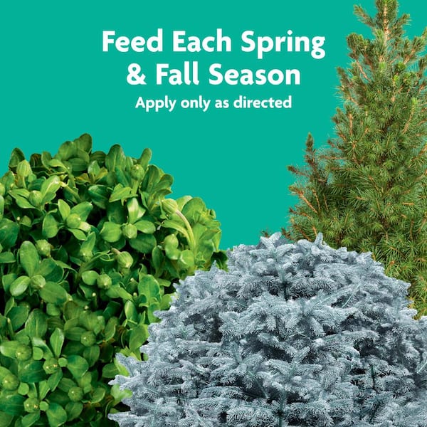 Miracle-Gro Tree & Shrub Plant Food Spikes – 12 Count, Organic Fertilizer Stakes, Spring & Fall