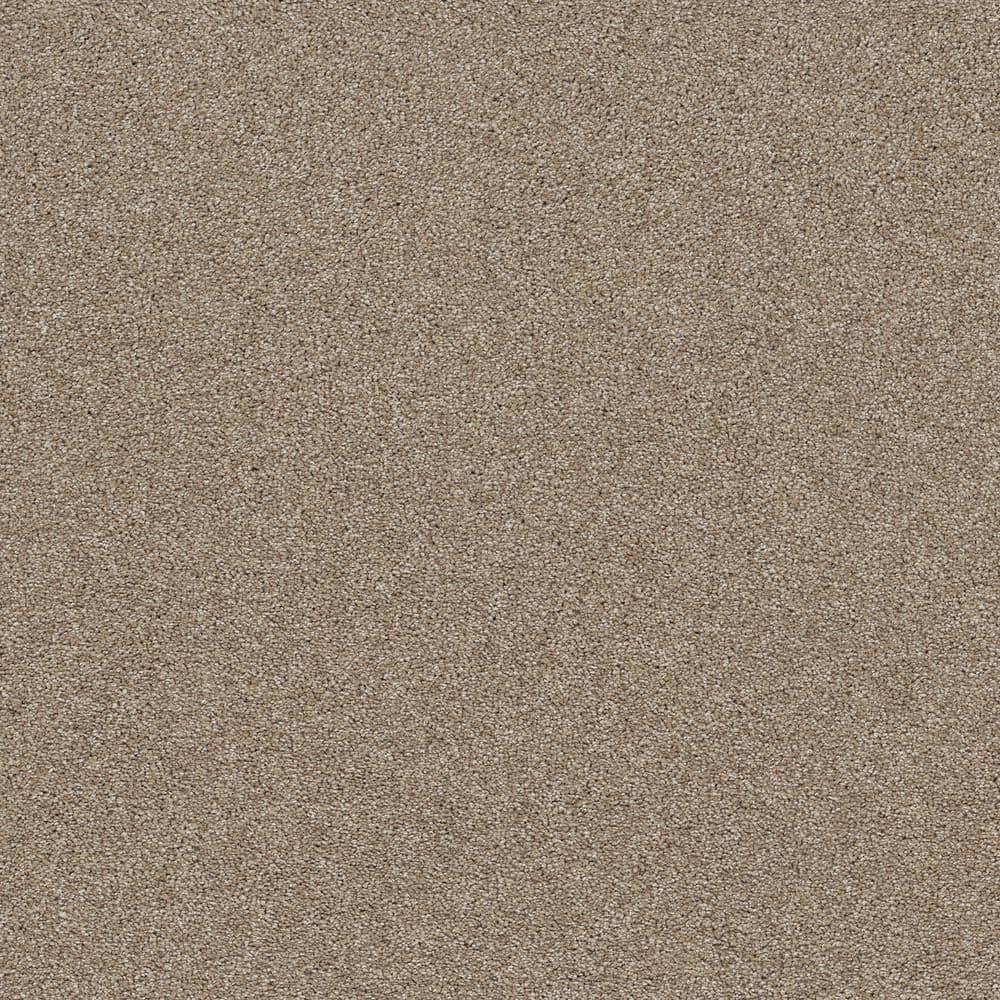 8 in. x 8 in. Texture Carpet Sample - Vacation - Color Sand Storm price history on PriceWatchPro