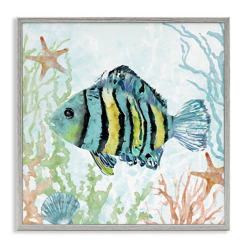 Striped Fish Underwater by Carol Robinson Gray Framed Animal Giclee Art Print 24 in. x 24 in. price history on PriceWatchPro