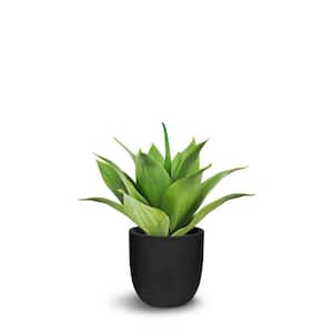 Botanical 1.3 ft. Green Artificial Agave Plant In Pot