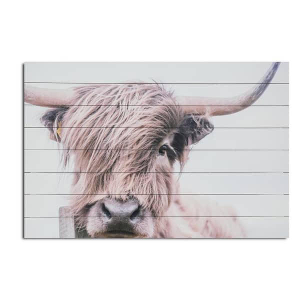 GREATBIGCANVAS Highland Cow Canvas Wall Art Print, Home Decor Artwork,  12x12x1.5